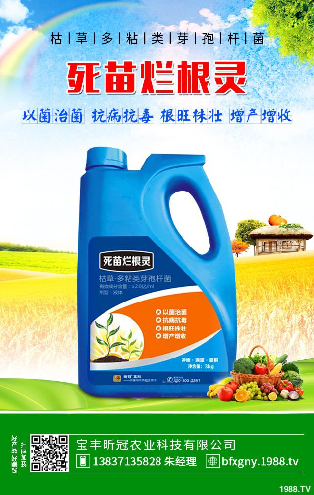 �۲˺��ĸ�����ô�������۲˺��ĸ���Ҫ���Y����