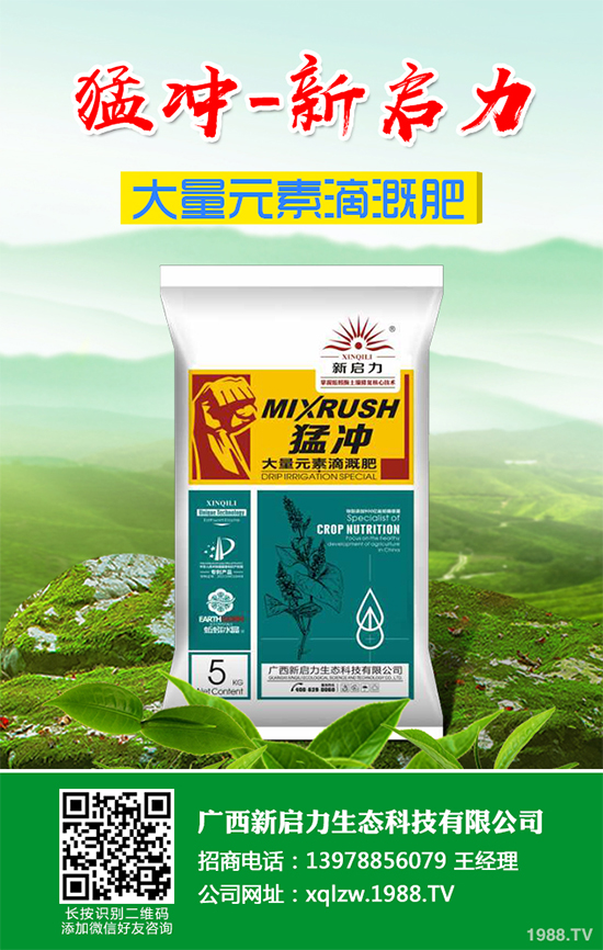 茼蒿葉斑病危害這么大,到底該如何防治?茼蒿葉斑病防治措施