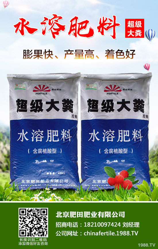 ��ݮ���˼t������������ô�k����ݮ�t�����������R�e�����ͷ��Σ�