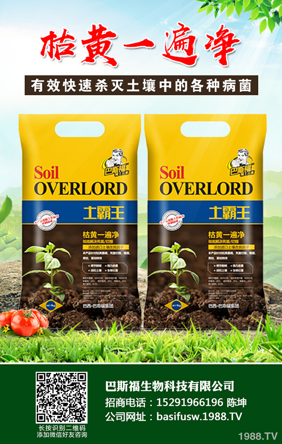 ���Sԓ��ηNֲ�����S�ĸ�Ч���༼�g(sh��)����Щ��