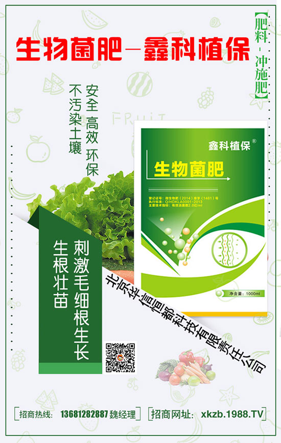 芒果想要產(chǎn)量,芒果施肥時有三大注意!