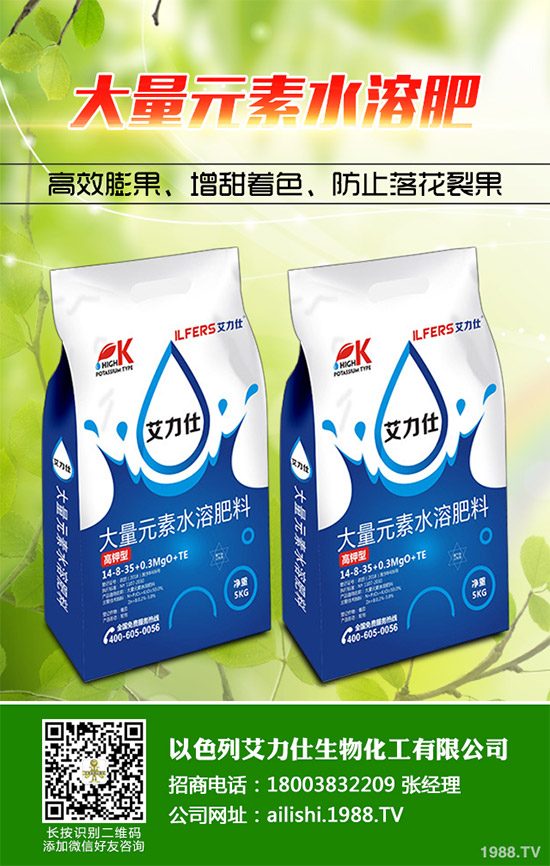 �۲˸���������ΰl(f��)������ԓ���ӷ����������������