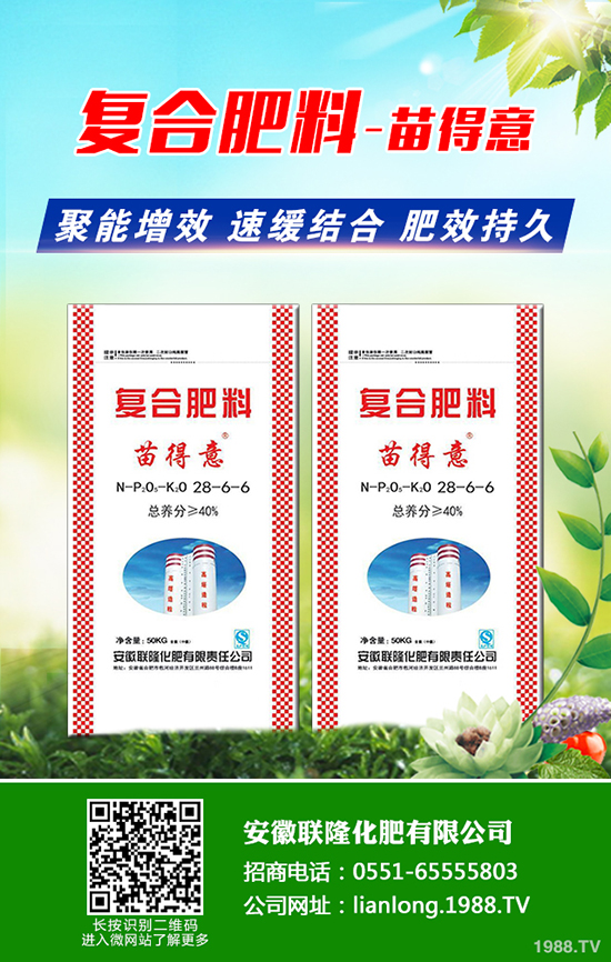 種植黑老虎賺錢嗎?種植前景及市場行情如何?一畝田投入成本多少?