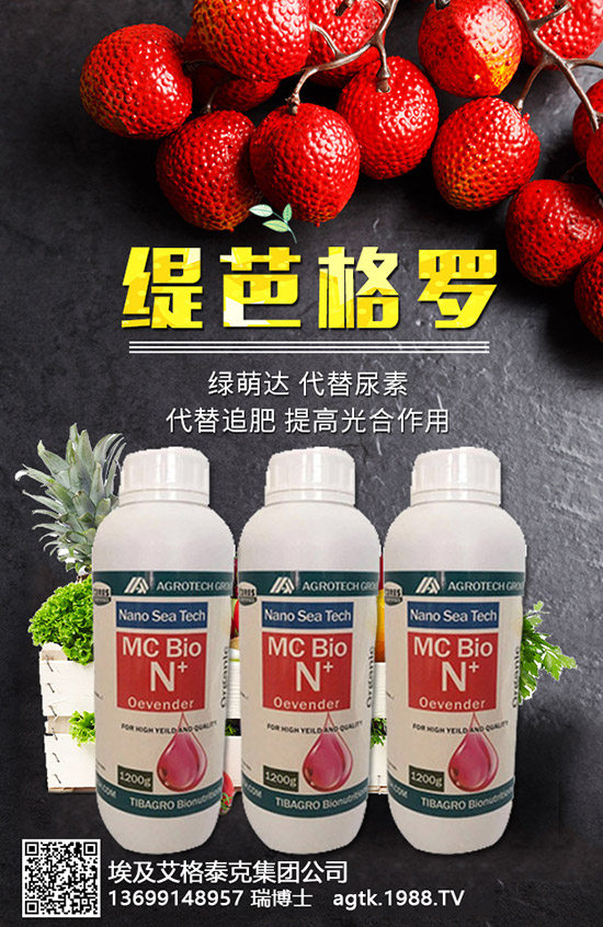 ���A�ĠI�B(y��ng)�rֵ����Щ����Ч�c��������Щ��������Щ��Ⱥʳ����