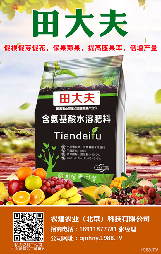 �Nֲʲôˮ����(hu��)ٍ�X��2020��ˮ���Nֲָ��