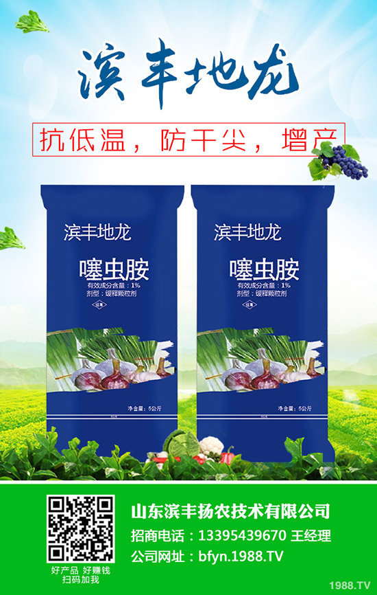     2020�����ݮ�r(ji��)������Xһ������ݮ�r(ji��)�񱬵�ԭ������Щ��