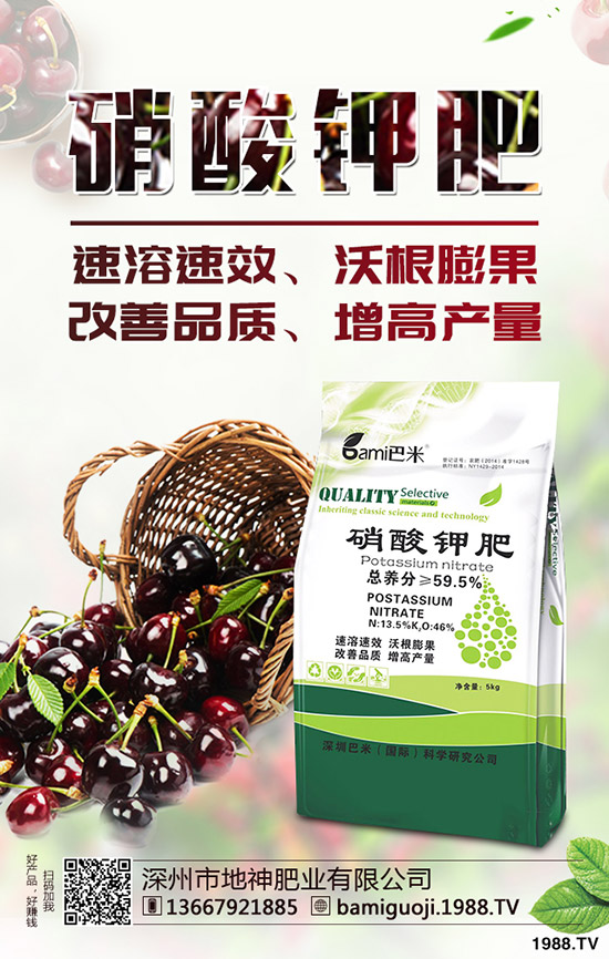 �t������r�g��ʲô�r�����t�����緽������Щ��