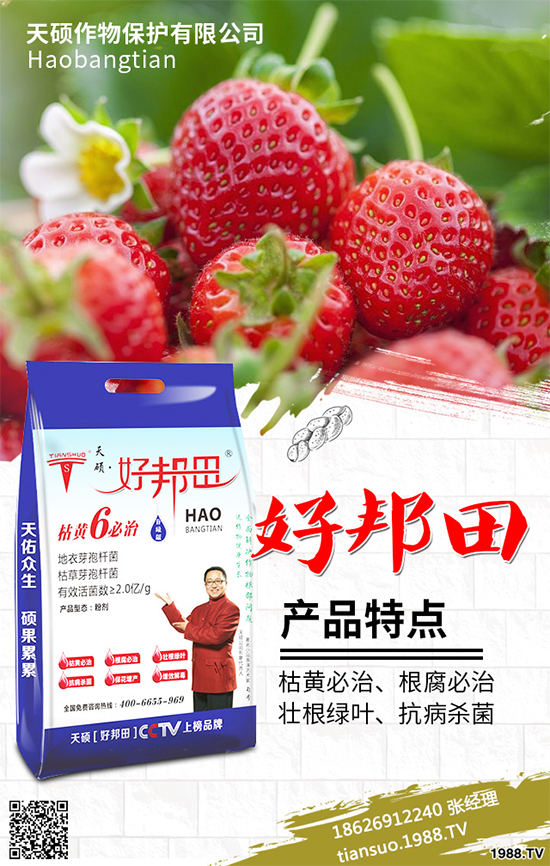 �����Ϲ�ԓ��ηNֲ�������Ϲϴ���Nֲ���g(sh��)