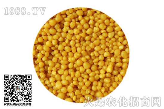 �������@�r(ji��)�������߄�(sh��)2020.10.10