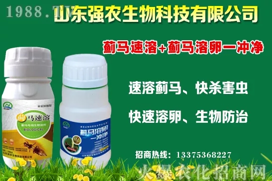 �ﶬ11�·Nֲʲô�߲˱��^���m���߲˷Nֲע����헣�