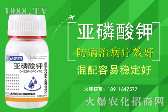 �������Ҫ��������ʲô������֮�g��ʲô�P(gu��n)ע��