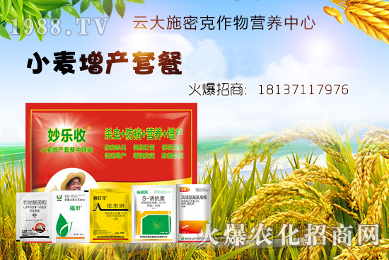 С�����N�󲻳�������ʲôԭ����ɵ���