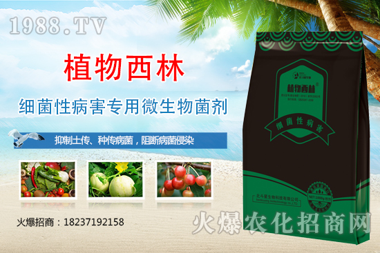 ����̿�Ҳ��Y����ʲô������̿�Ҳ��l(f��)��ԭ�򼰷���