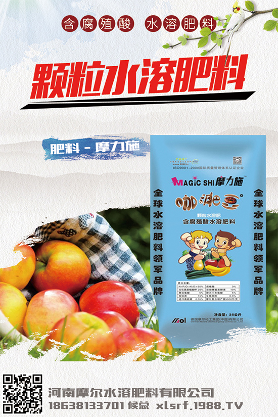 種植白術(shù)掙錢嗎?2020白術(shù)種植前景及效益分析