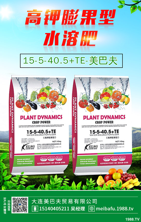 苦瓜怎么施肥,苦瓜施肥要點有哪些?