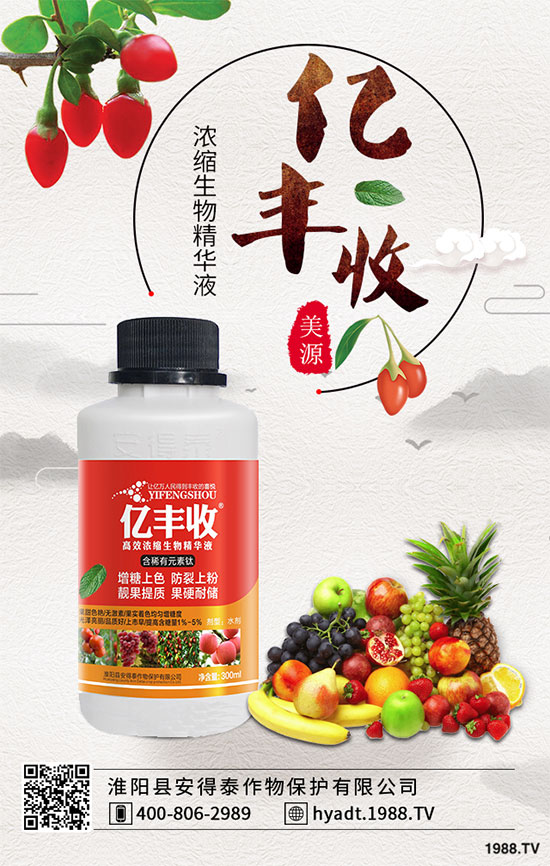 ���Ҙ����zʲô�Y�������Ҙ����z��ô������