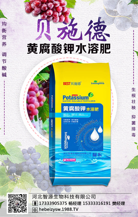 �۲˵ĠI�B(y��ng)�rֵ����Щ�������۲���ʲô��̎��