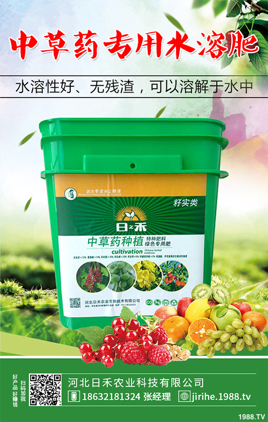 射干該怎么種植?中藥材射干的種植技術(shù)要點(diǎn)