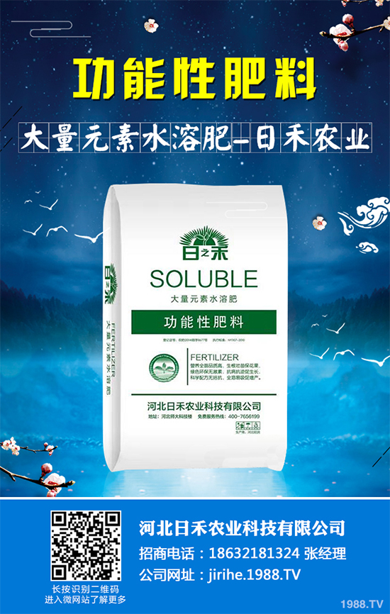 射干該怎么種植?中藥材射干的種植技術(shù)要點(diǎn)