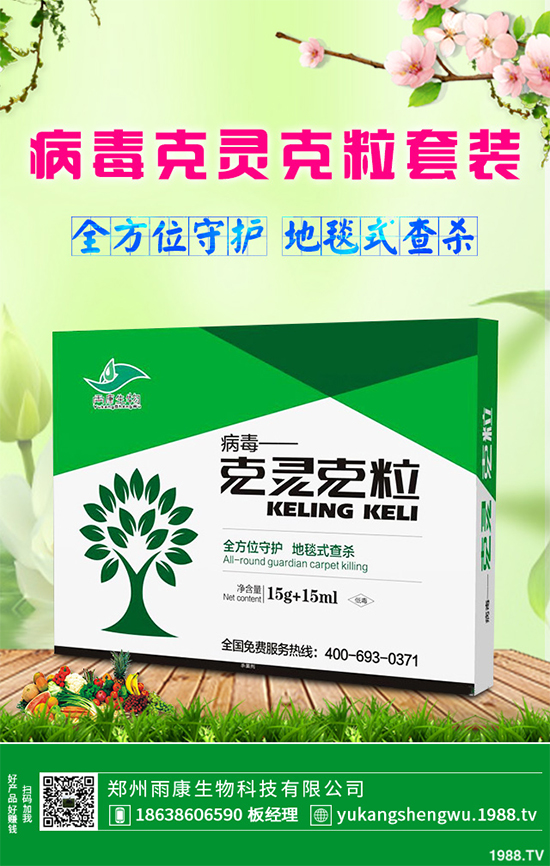 �W�ˌ�Ҫ���á���ɭ�i�\����