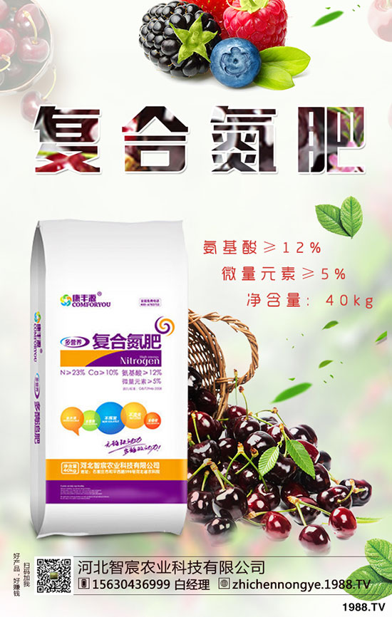 精品芒果種植技巧,施肥很關鍵!