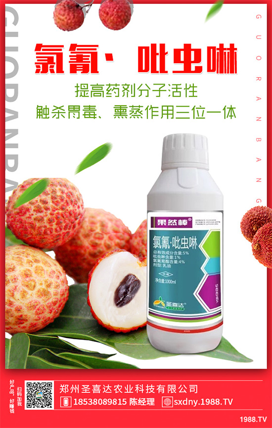 ��������ӛ���������x�y��߀�������������T��Ҫ���(qu��n)��������