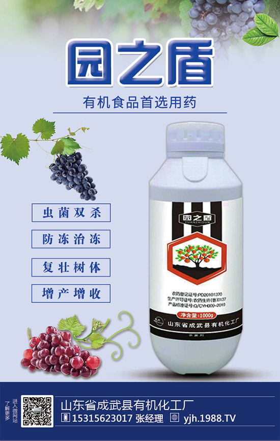 甘蔗需肥特性,甘蔗施肥技術和要點!