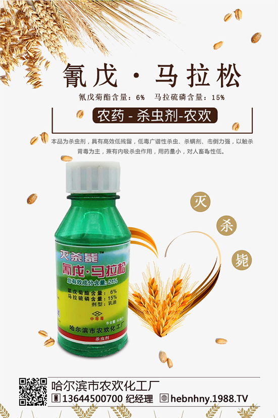 �x���߷��ڡ������xຸ�Ч���x�����Դ���գ�