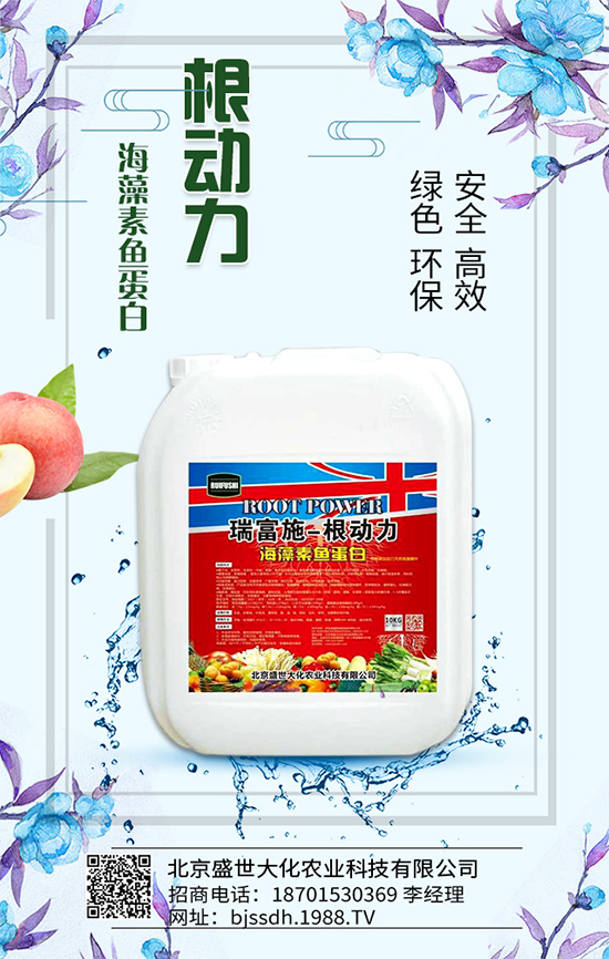     �׷ʃr���λ�\����2020-05-16����һ�@���@�r���߄ݷ�����