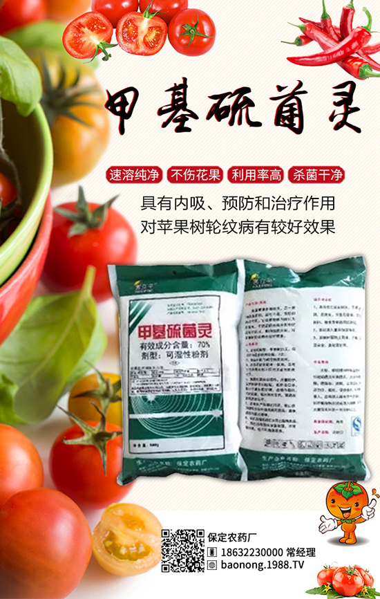 ������������أ���Ч����â���ǰߣ������u���