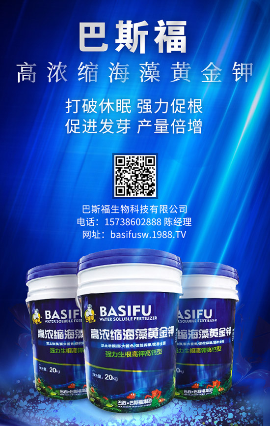 ����ʩ�ʵĸ��ѕr(sh��)�g��ɶ�r(sh��)���� զ��ʩЧ������