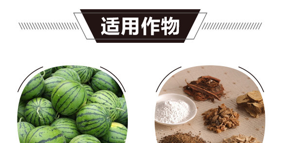 碳?xì)浜朔?藍(lán)藻門-碳?xì)鋰H_05