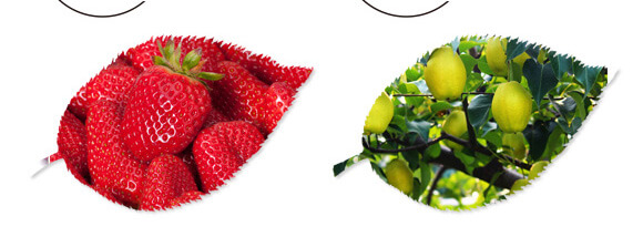 碳?xì)浜朔?藍(lán)藻門-碳?xì)鋰H_10