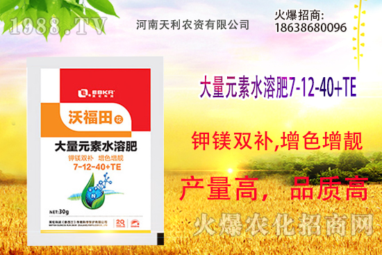 ��피t��ô�B(y��ng)����피t���B(y��ng)ֳ������ע�����(xi��ng)��