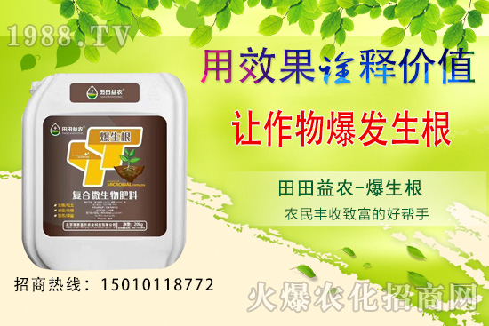 ���¿��ԷNֲ���߲�����Щ�����·N�߲˹���Ҫ�c(di��n)��