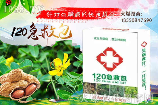 �ȹ����緽������Щ���ȹ���ô���Զ�ֲ��