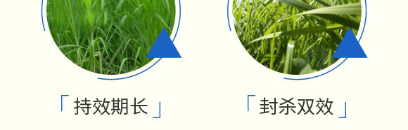 ���׳��݄��⚢�͡�����L(zh��ng)_07