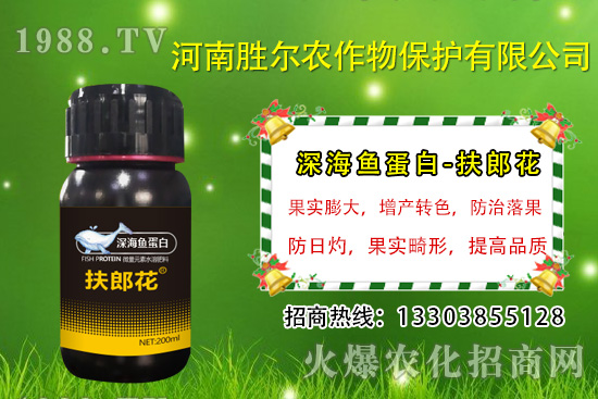 2020��7��13�ս��Շ������@�r�����鼰�������u