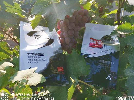 �îa(ch��n)Ʒ����������һ�t���΢������������t���͑��挍������