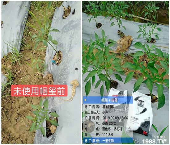 �îa(ch��n)Ʒ����������һ�t���΢������������t���͑��挍������