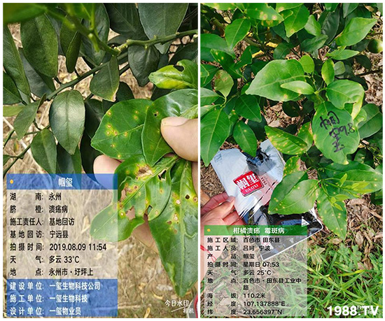 �îa(ch��n)Ʒ����������һ�t���΢������������t���͑��挍������