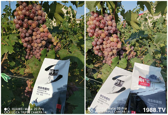 �îa(ch��n)Ʒ�����ã���һ�t���΢������������t���͑��挍������