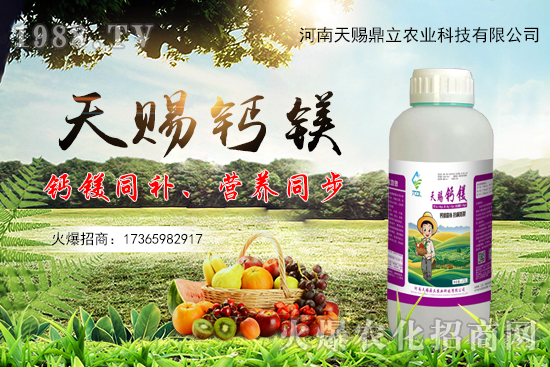 ���n������ʲô��(y��u)�������n�������ƮaƷ����Щ��