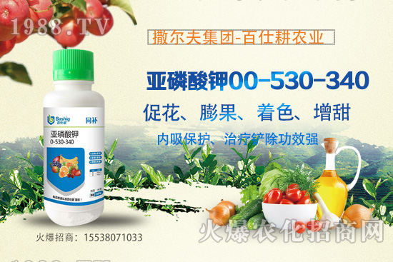 �I�B(y��ng)�������A(y��)�������������������@ôţ���������������ԭ����