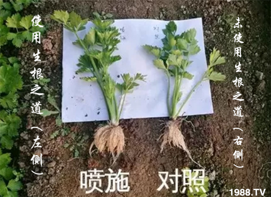 �����ϵ��a(ch��n)������������֮���������¸����������a(ch��n)�o�n��