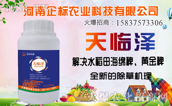 ���ݰ����ݙC(j��)�������ݰ��ܷ�����Щ����ʹ��ע�����(xi��ng)����Щ��