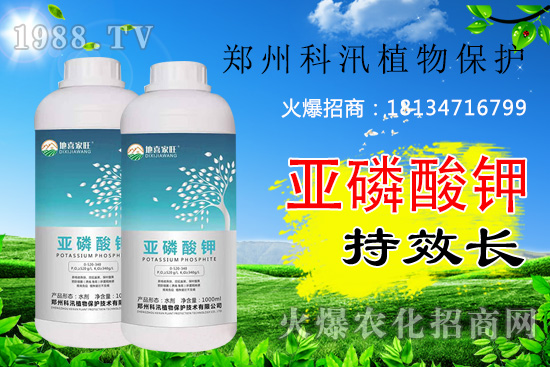 ������⛹�Ч�������C������Щ������������õĺ������