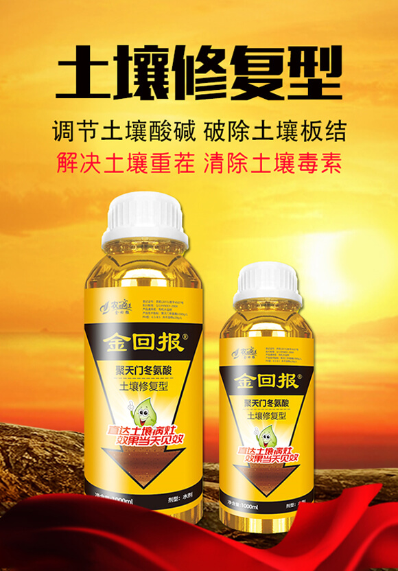 ��������-�����ޏ�(f��)�ͣ�ƿ�b��-��؈�(b��o)�����T������-��؈�(b��o)_01