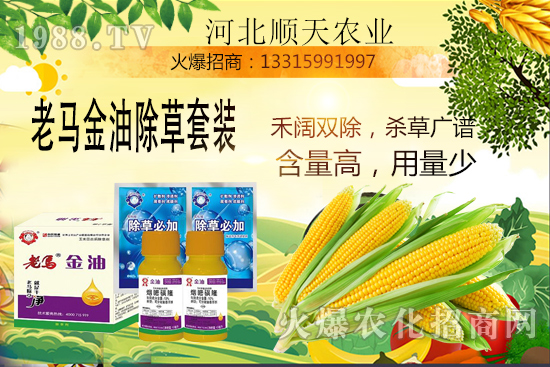 ����������������Ч�������׳����P(gu��n)�I�c(di��n)��R����