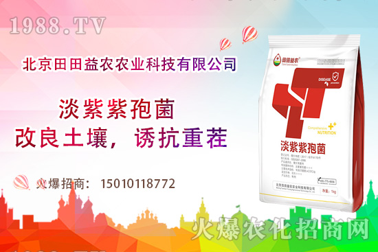 ���t��������c����Щ�����t���ļ���ι�����